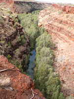 Dales Gorge from the Rim walk